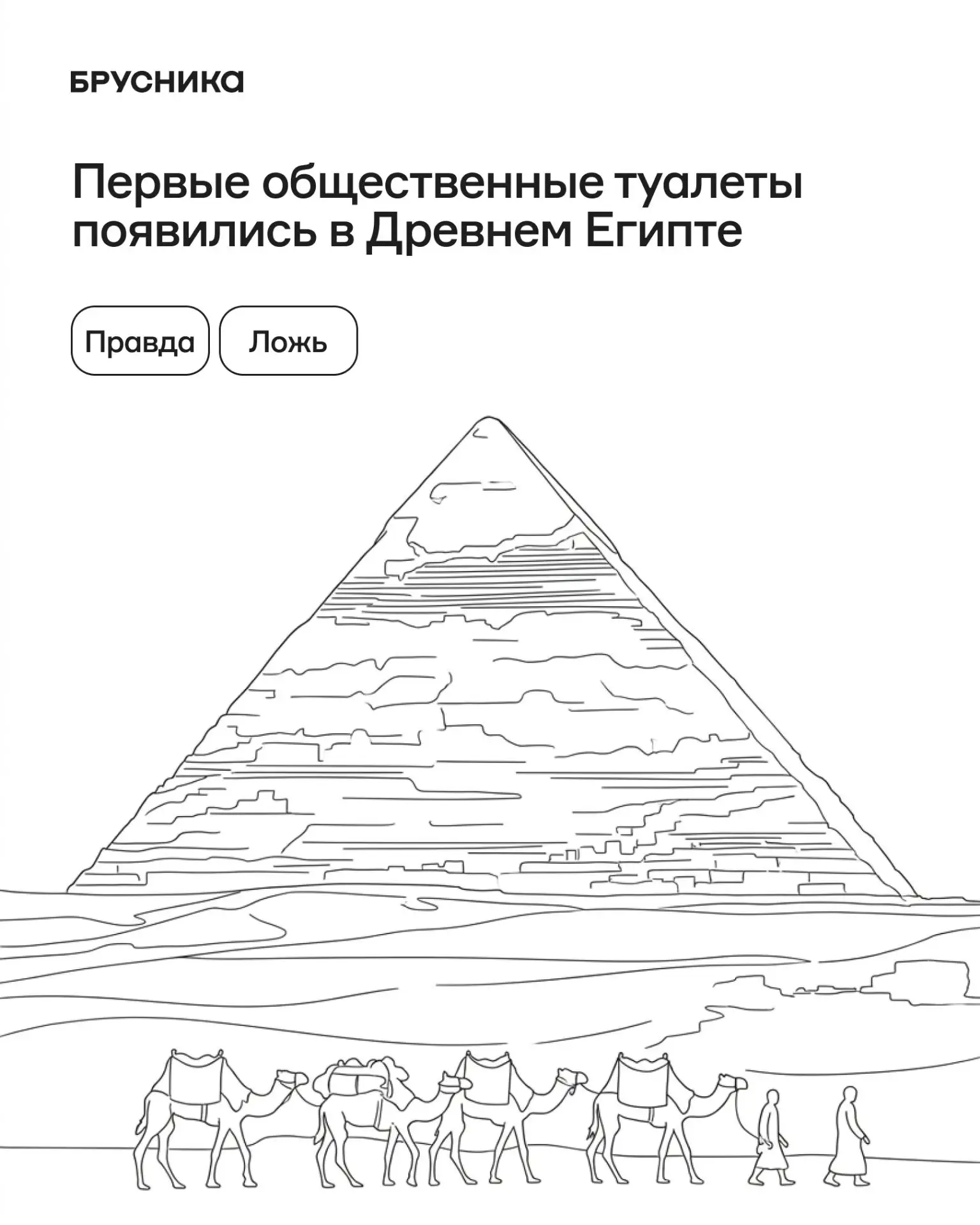 Голые факты об архитектуре уборных