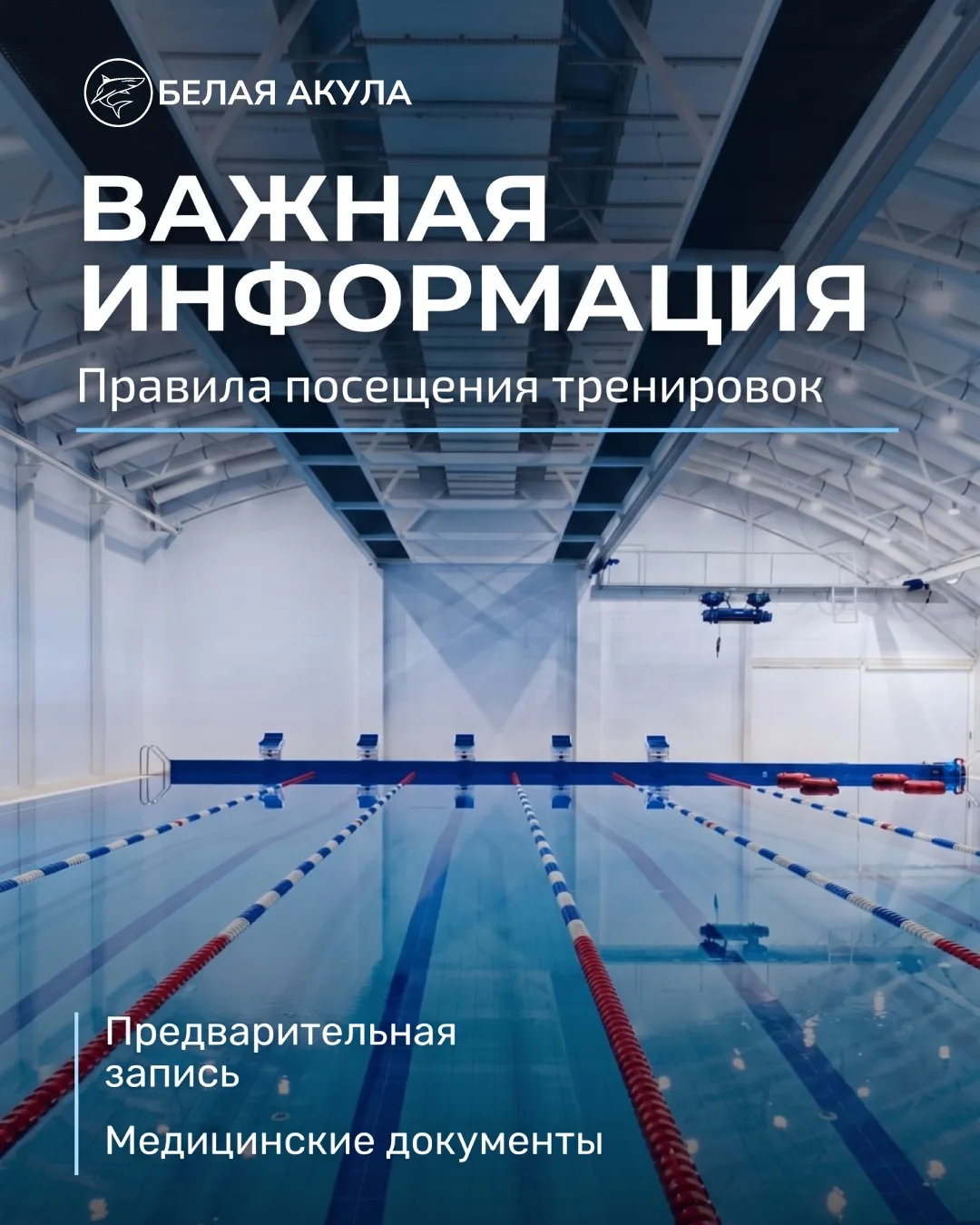 ❕Важная информация для посетителей «Белой Акулы»