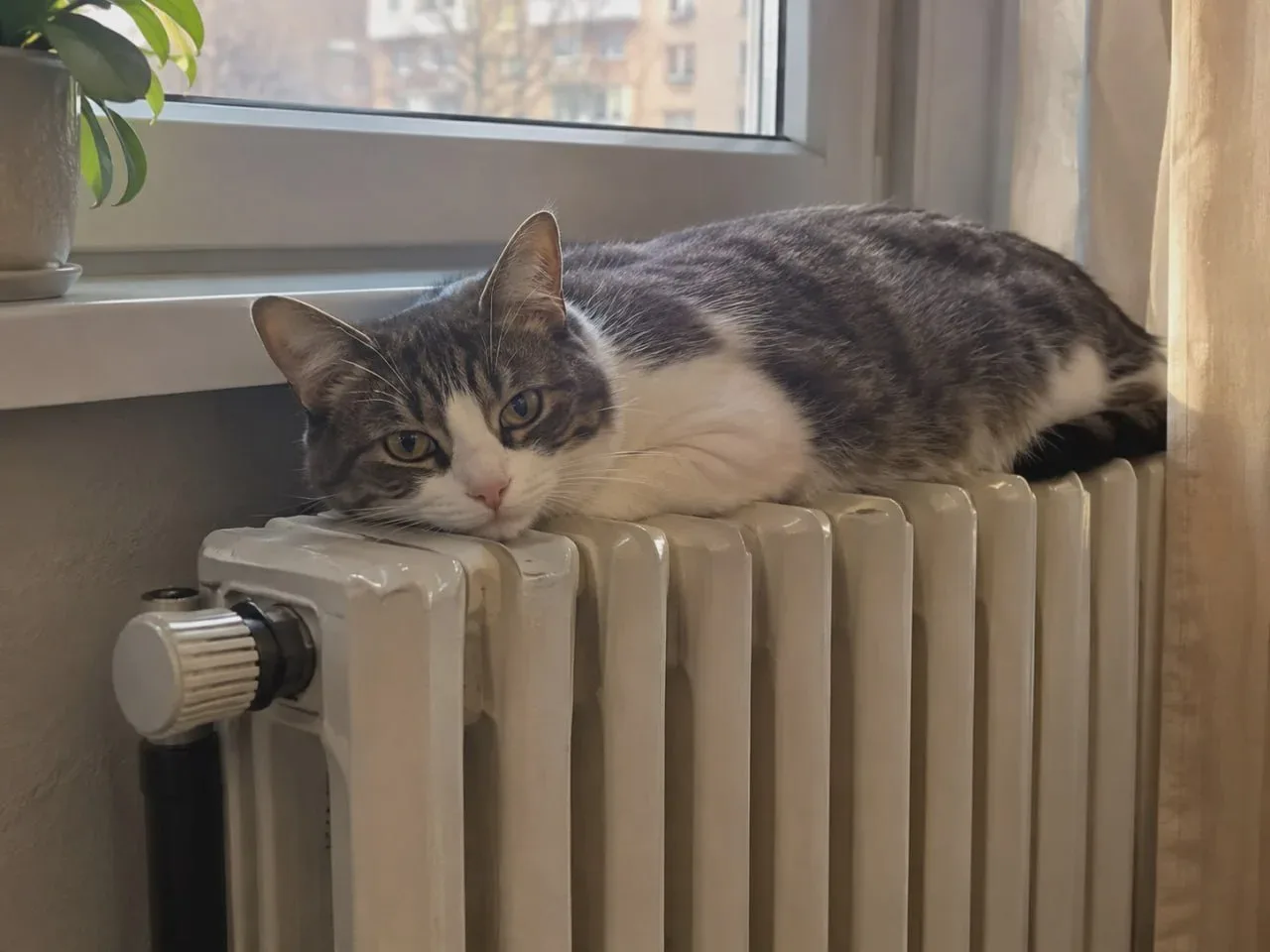 В Ессентуках отопление включат 22 октября