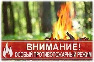 На всей территории края по-прежнему СТРОГО ЗАПРЕЩЕНЫ: