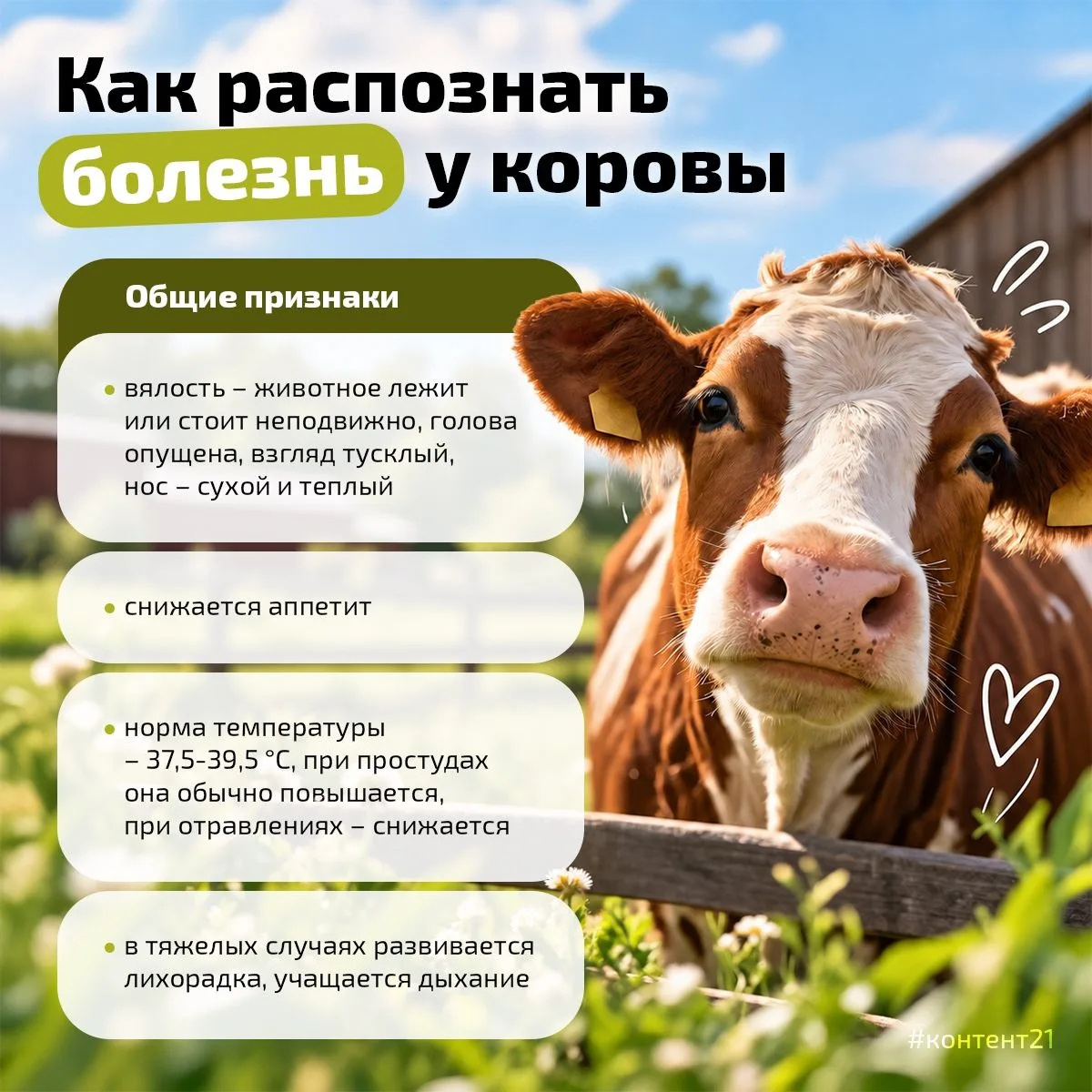 💉А вы знали, откуда на самом деле взялось слово «вакцинация»?