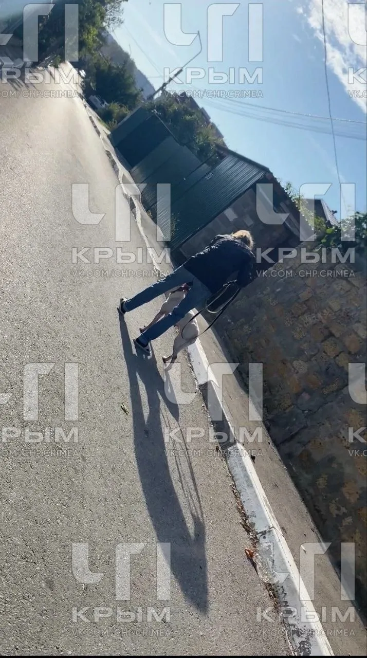 Севастополь, 10 октября, в 9 утра я стала очевидцем следующей ситуации. Данная личность...
