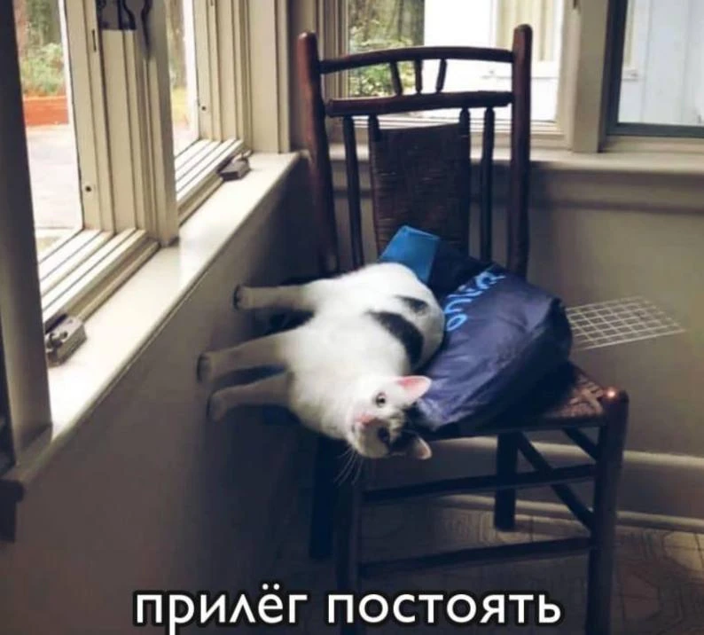Мемы каждый день • Подписаться