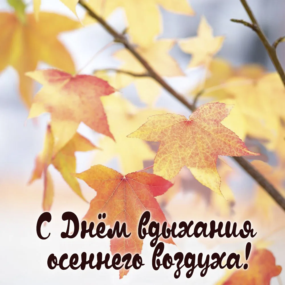 С Днём вдыхания осеннего воздуха! 🍁
