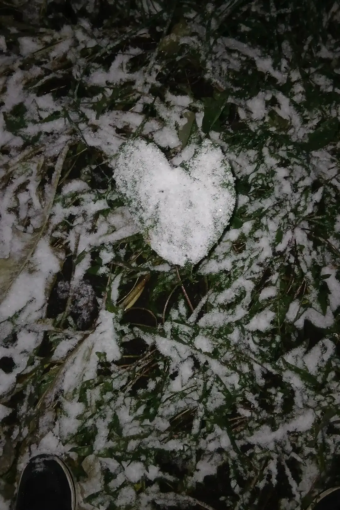 А вот и первый снег! ❄️