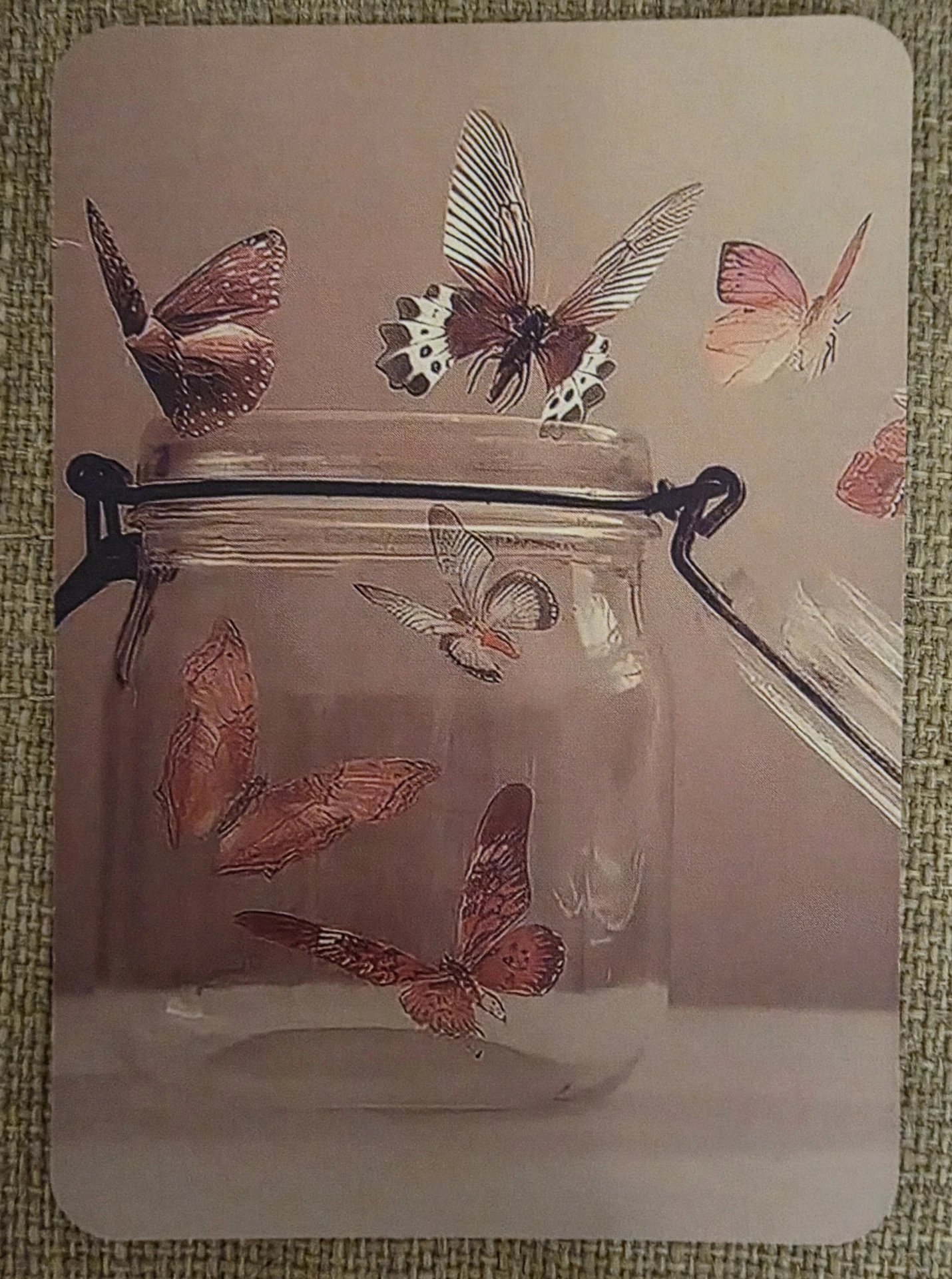 Подсказка от вселенной 💫