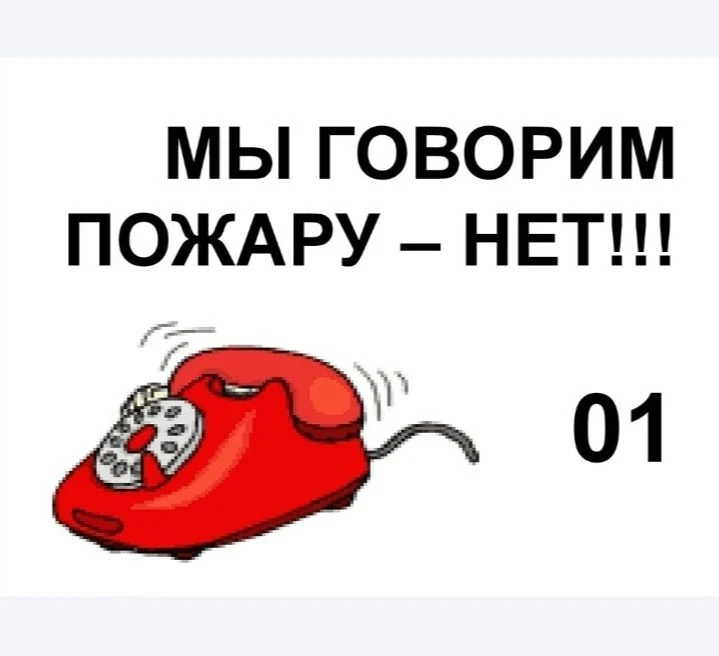 В группе «Почемучки» прошла театральная сказка «Кошкин дом»: ребята не просто разыграли...