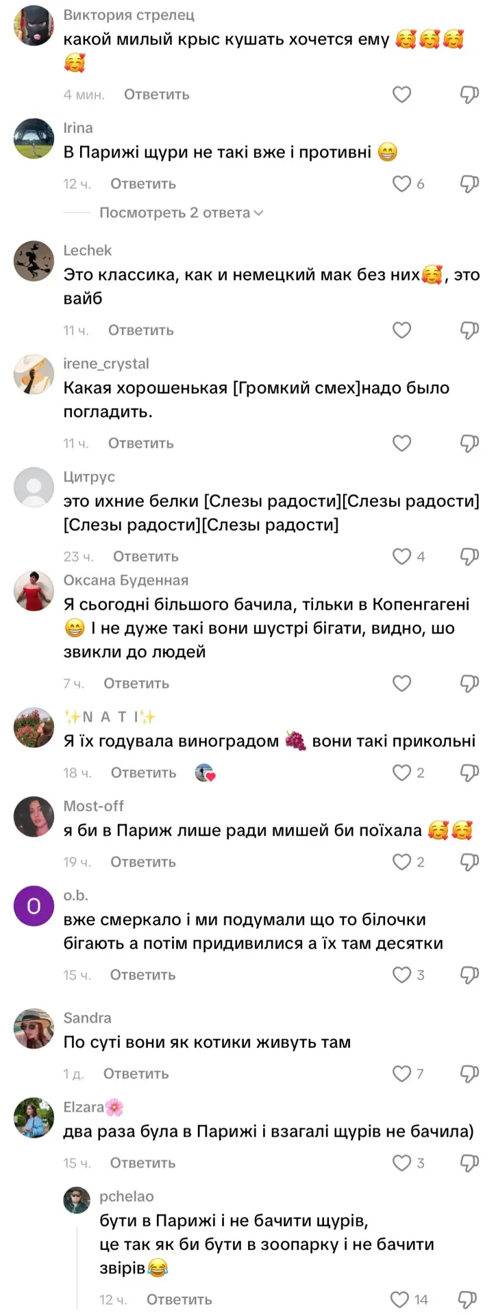 Крысы в Париже — это чисто французский вайб, какой-то исторический что-ли стайл, вы воо...