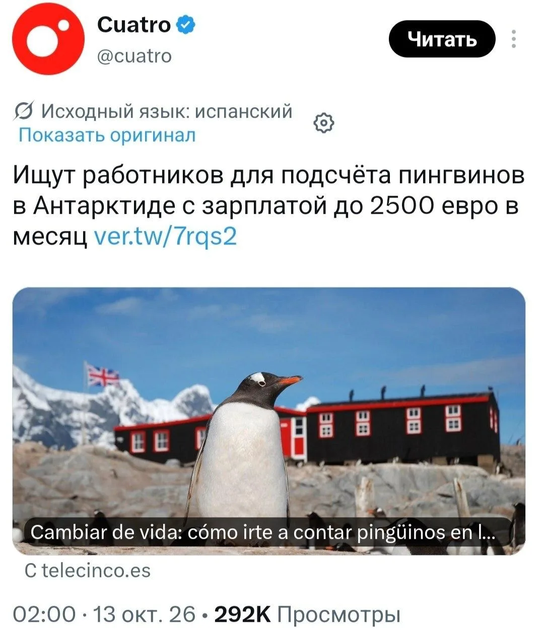За подсчёт пингвинов в Антарктиде предлагают платить ₽230 тыс. в месяц — исследовательс...