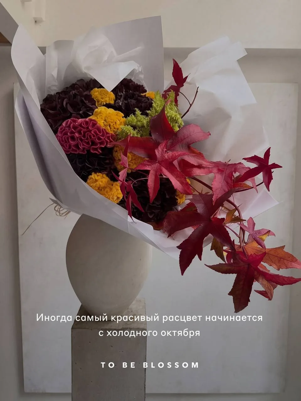 Собрали для вас цитаты с самым осенним настроением 🍂