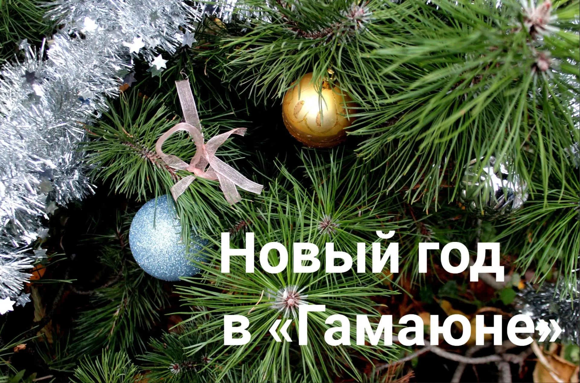 🎄❄🎉 НОВОГОДНИЕ ПРОГРАММЫ В МУЗЕЕ ДЛЯ ОРГАНИЗОВАННЫХ ГРУПП ДЕТЕЙ