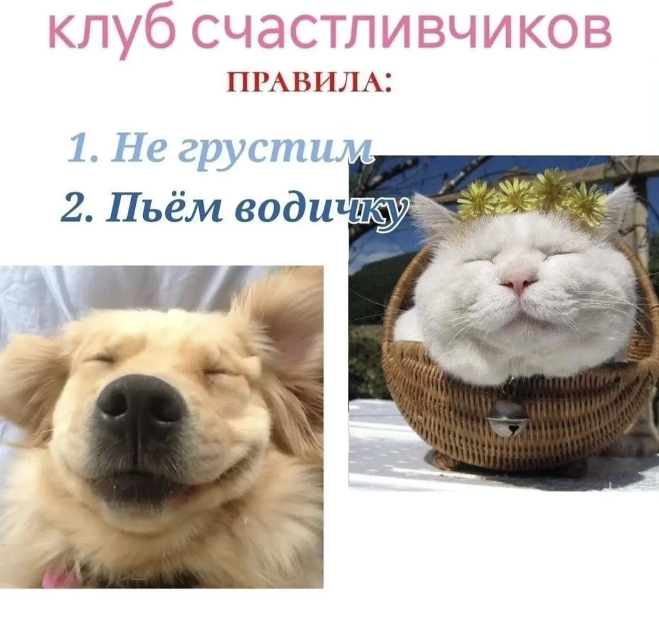 так, коллеги, запоминаем, хоум терапия — это клуб счастливчиков!