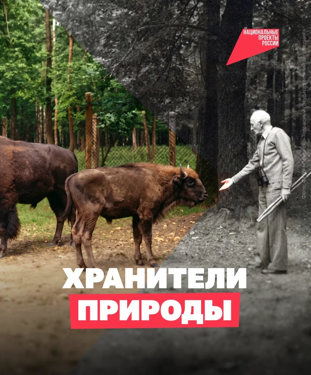Их работа — беречь природу 🌳