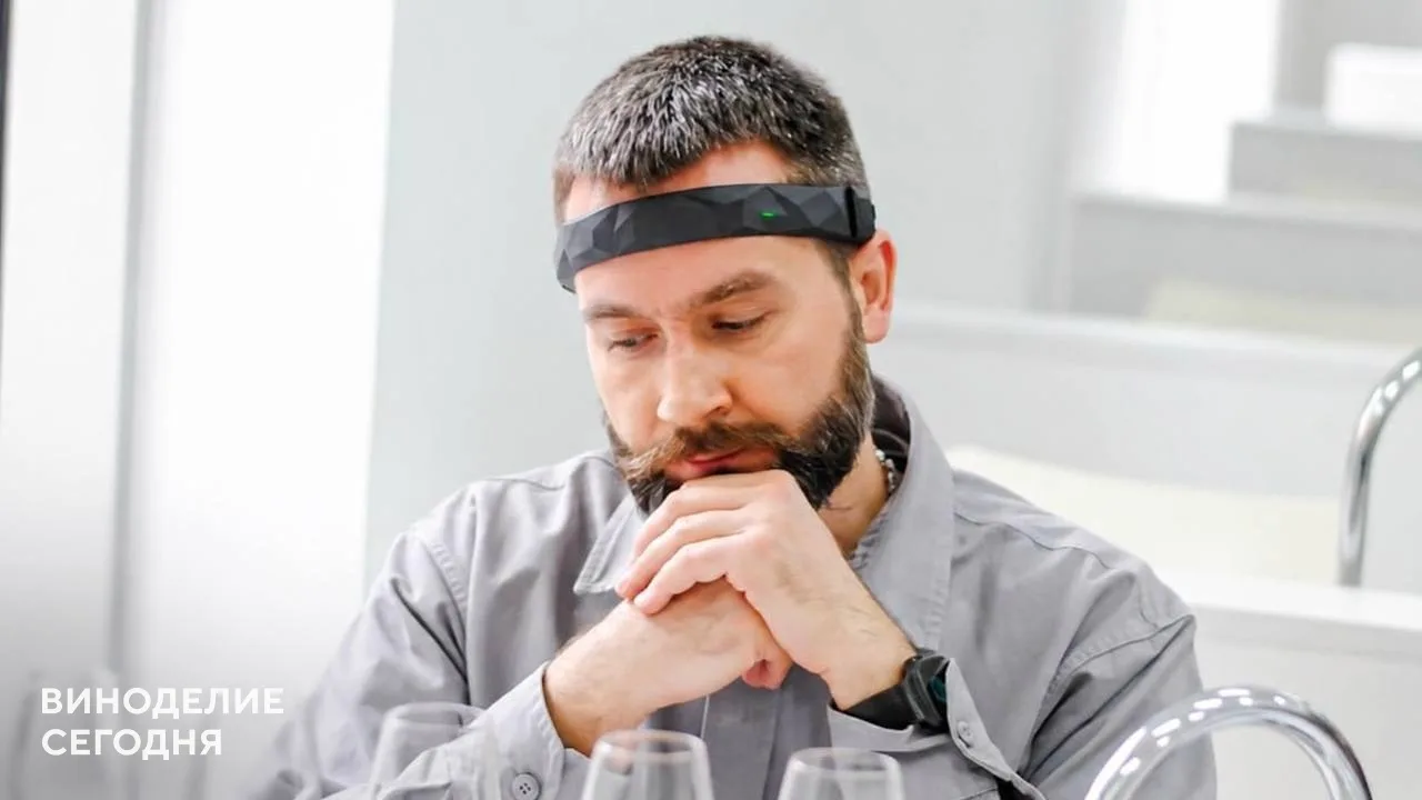Алексей Соловьёв назвал персонализацию следующим этапом развития профессиональной дегус...