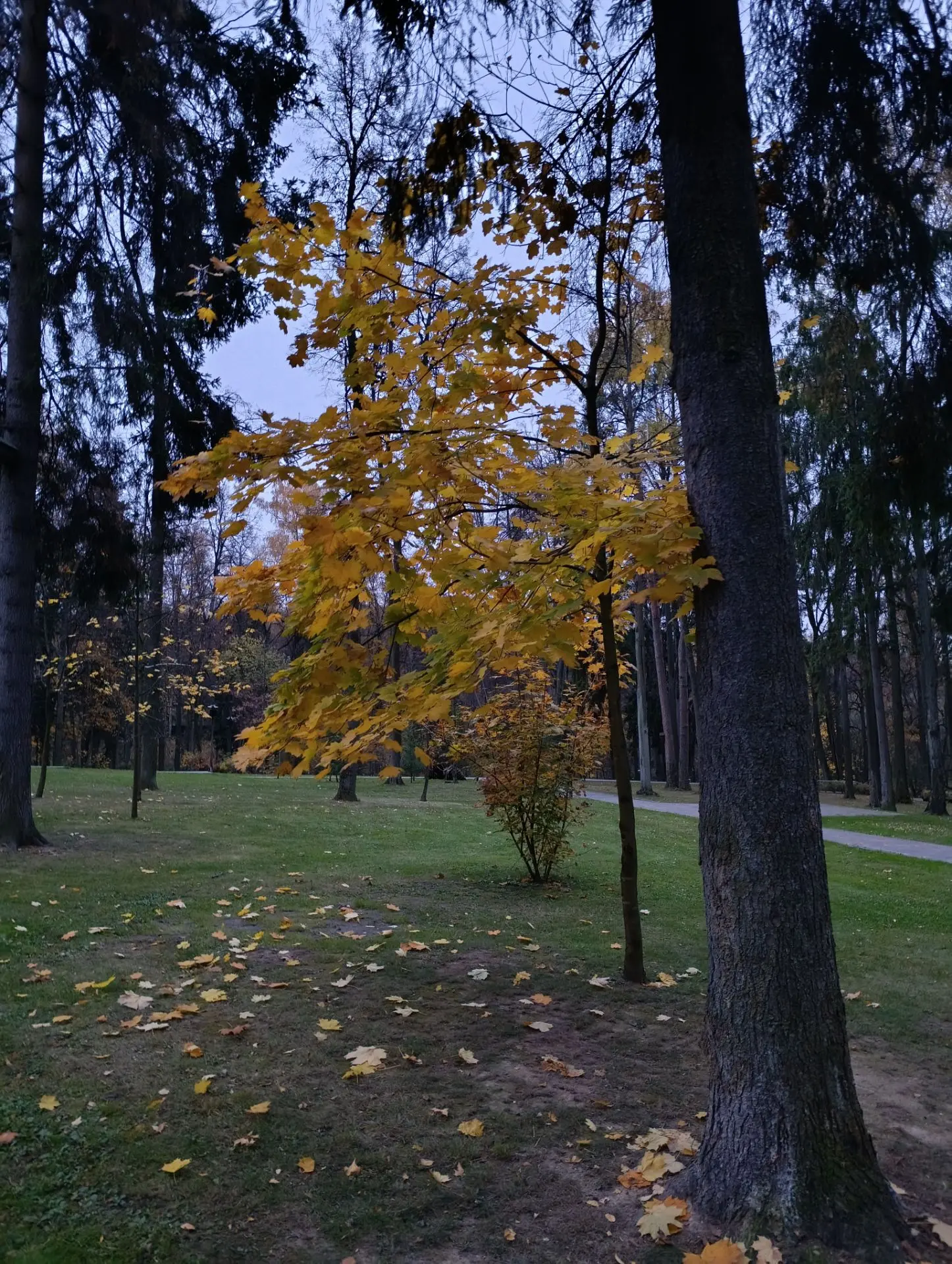 По осеннему 🍂🍂🍂
