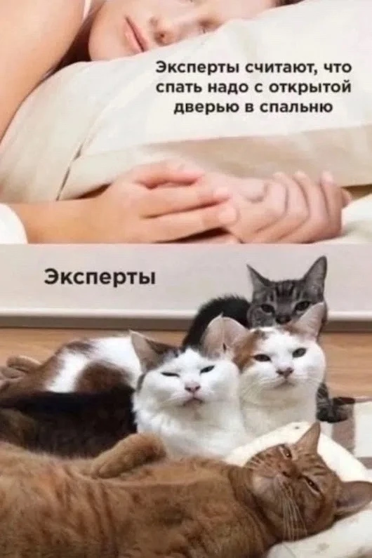 КуЗьМа в ТеМе