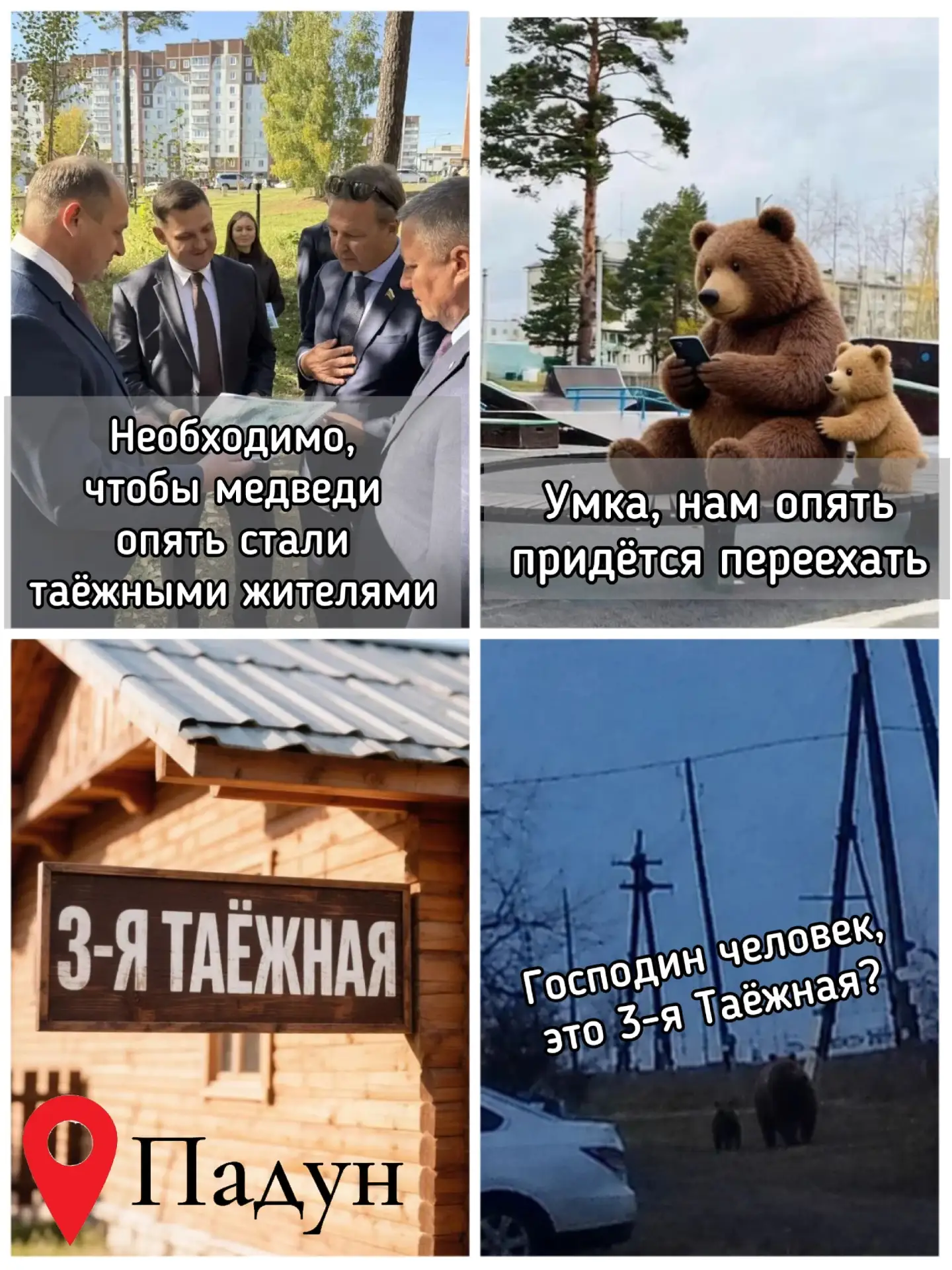 Город в тайге