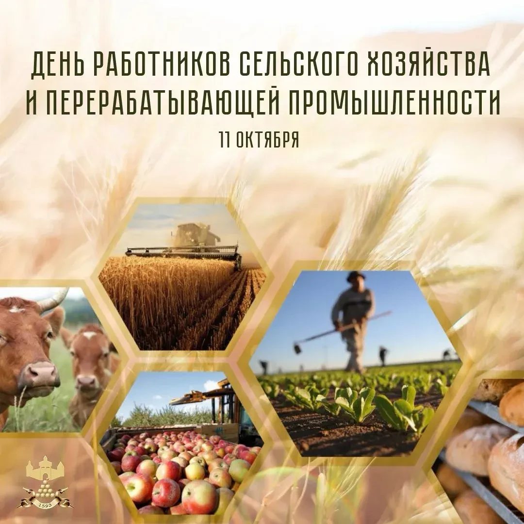 🌾 УРОЖАЙ, КОТОРЫМ МЫ ГОРДИМСЯ: С Днём агрария, труженики Валуйского округа!