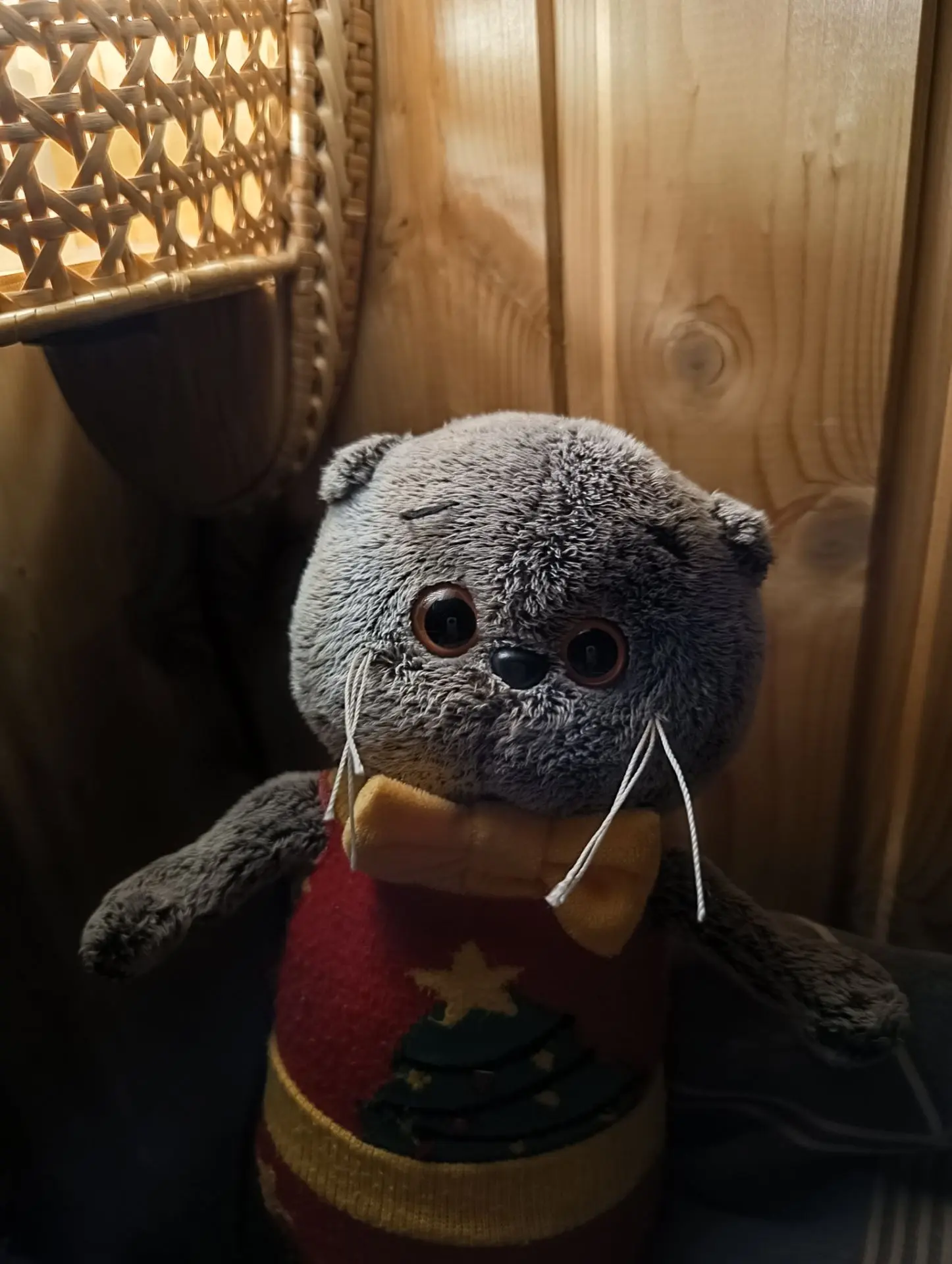Всем вечерний привет от Баси 💛!