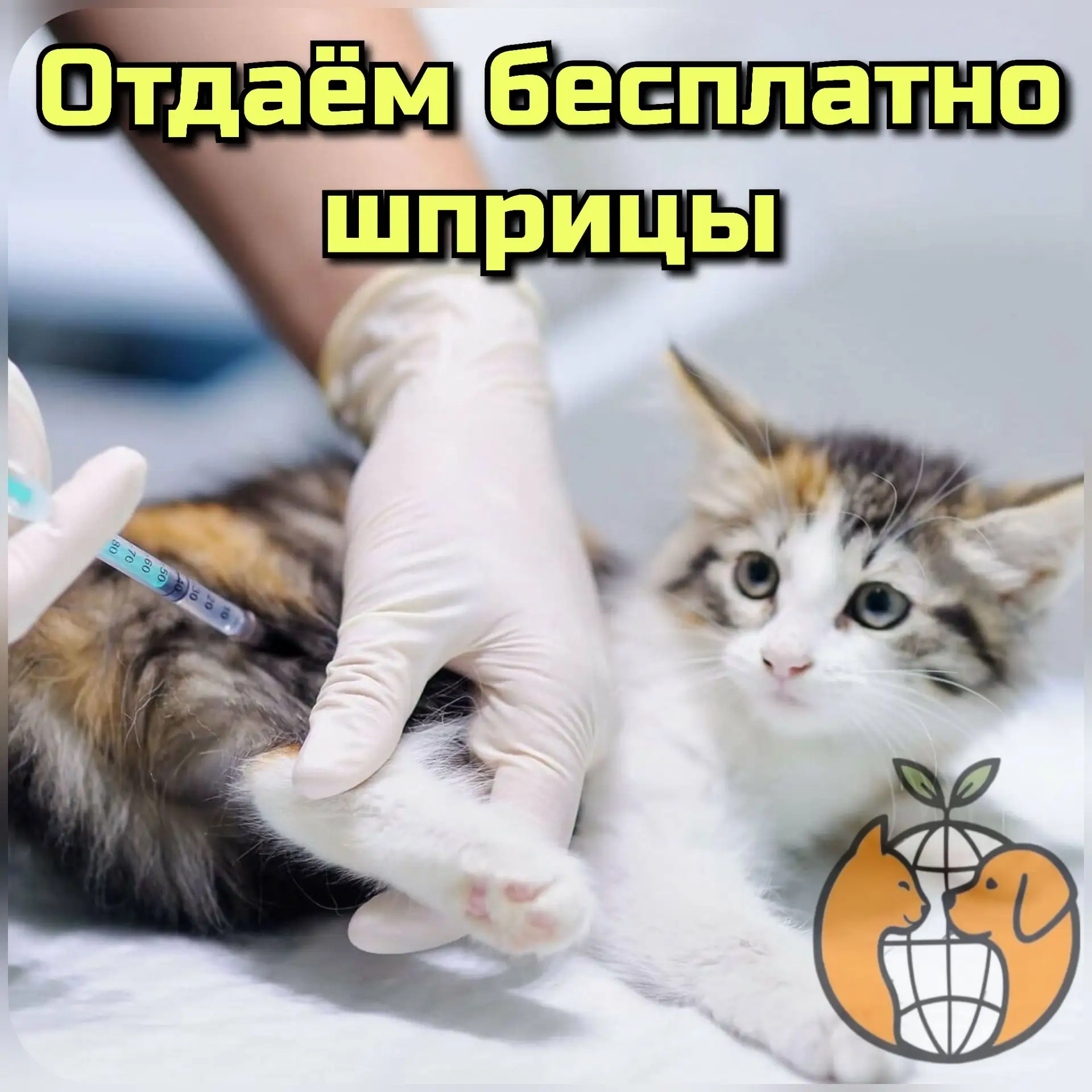 Дорогие друзья-киперы, если среди вас есть волонтёры/зооволонтеры или знаете таких, ком...