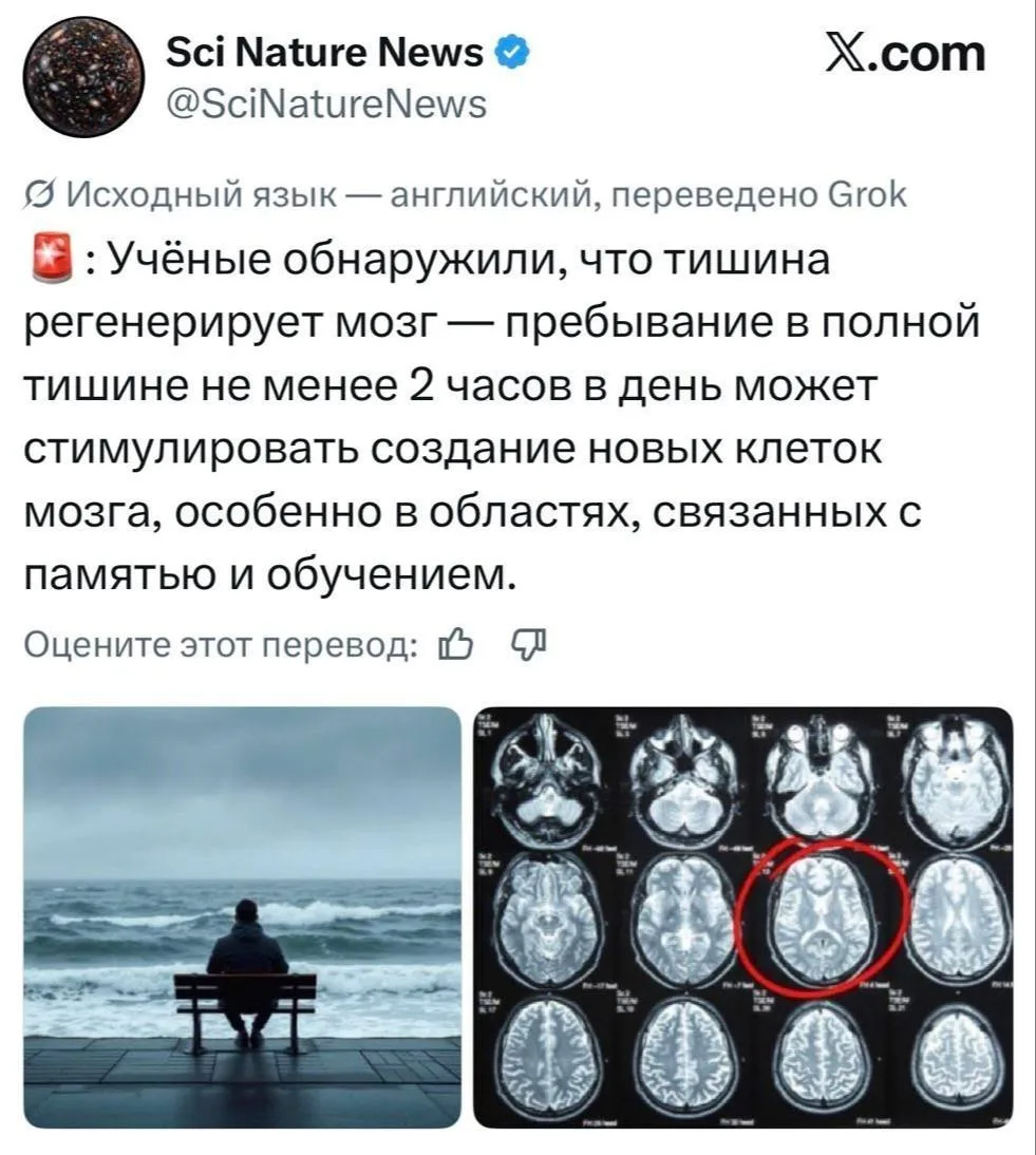Тишина регенерирует мозг — простое пребывание в полной тишине по 2 часа в день стимулир...