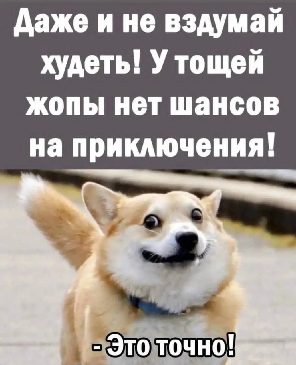 🤣Юмор в картинках