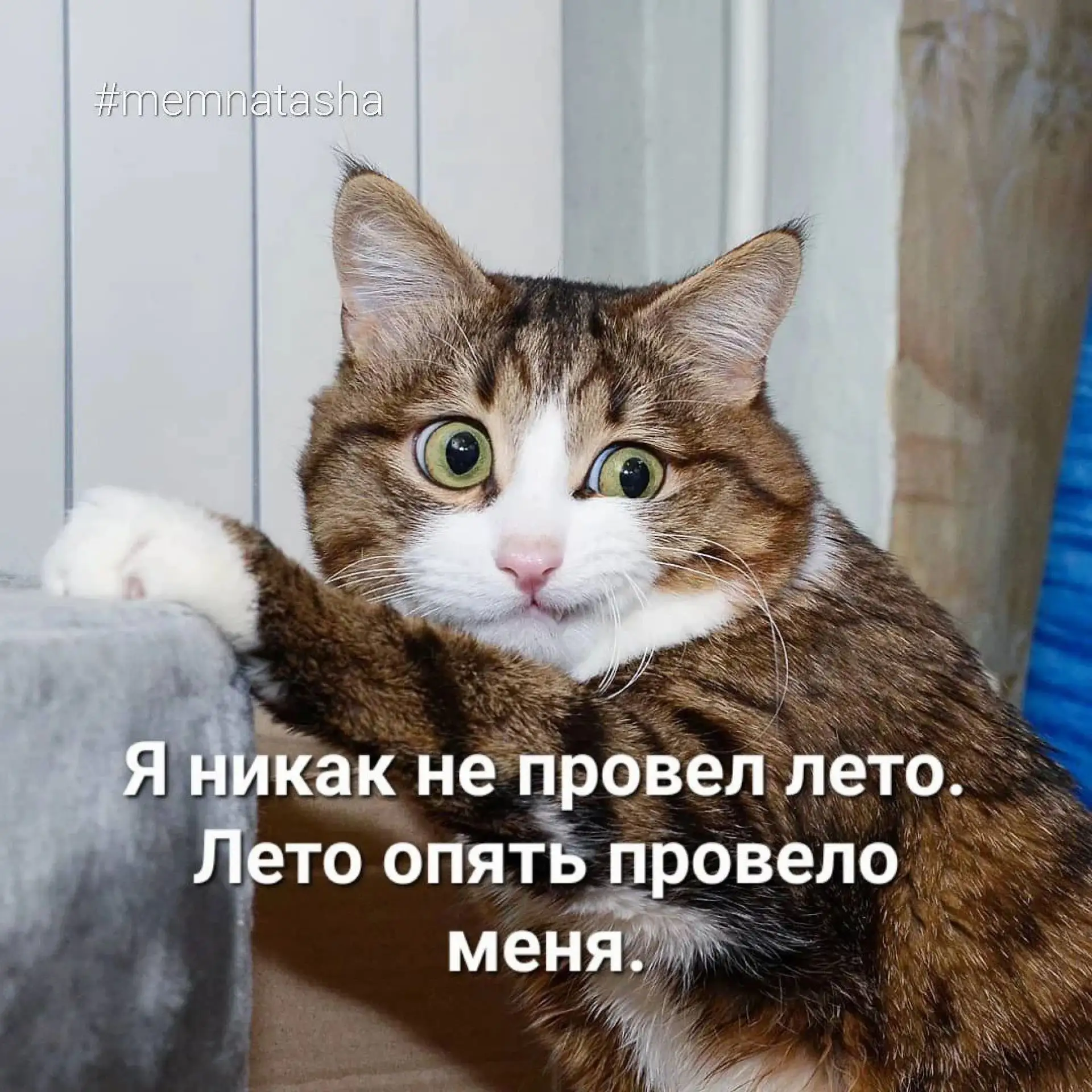 Лето я уже так соскучилась!
