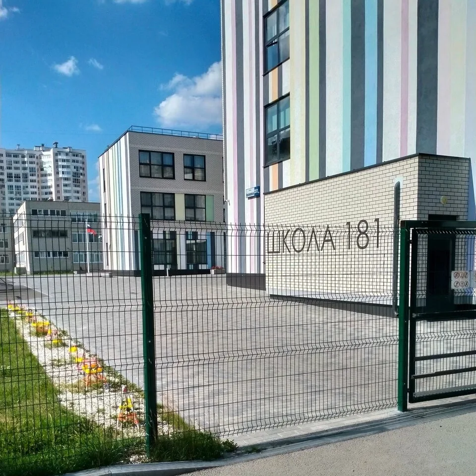 Пятиклассник распылил неизвестную жидкость в школе №181 в Академе.