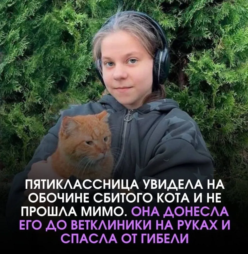 Варвара Гузнаева из Липецкой области возвращалась из школы. На обочине дороги она увиде...