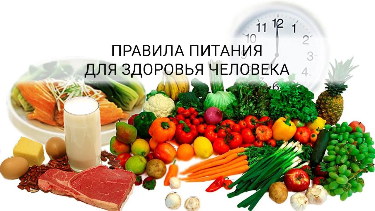 Здоровое питание — это не временная диета, а образ жизни, который помогает поддерживать...