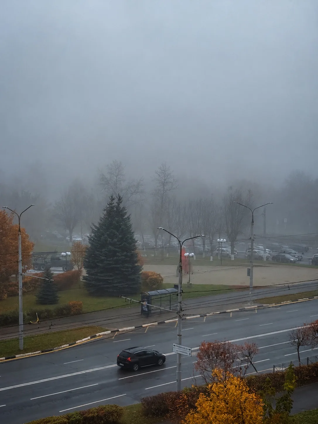 Во Владимире сегодня АТМОСФЕРА хоа-хоа! 🌫️