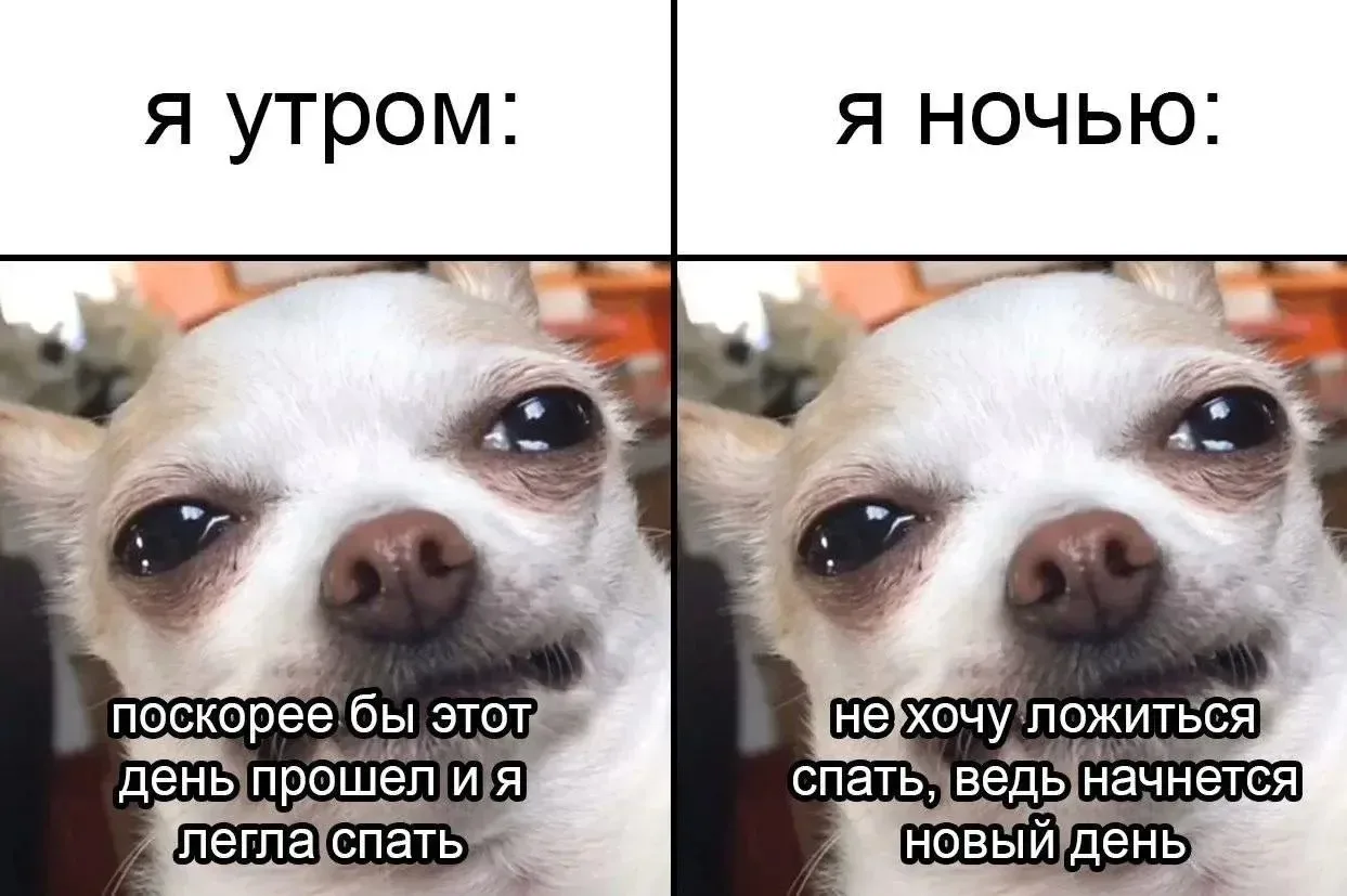 🔴Устал от серьезного лица? Заходи в МЕМЫ. Тут только отборные мемы, жиза про работу и ...