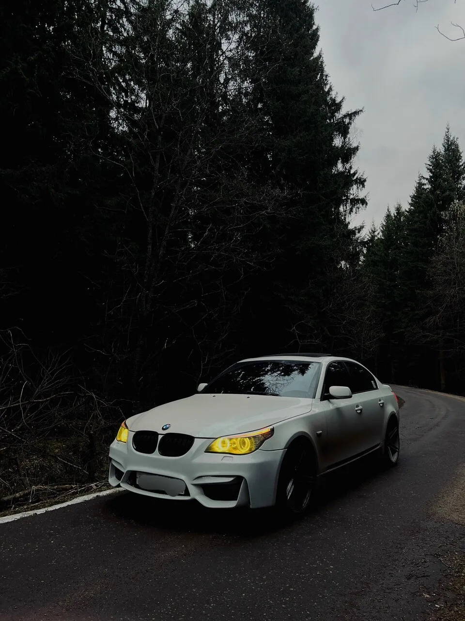 E 60 3.0