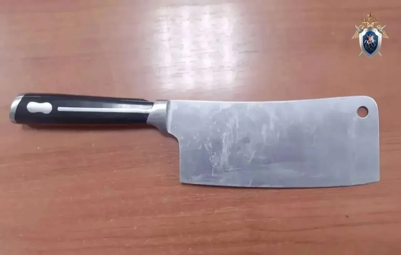🤯 В Орске мужчина с ножом угрожал инспекторам ДПС