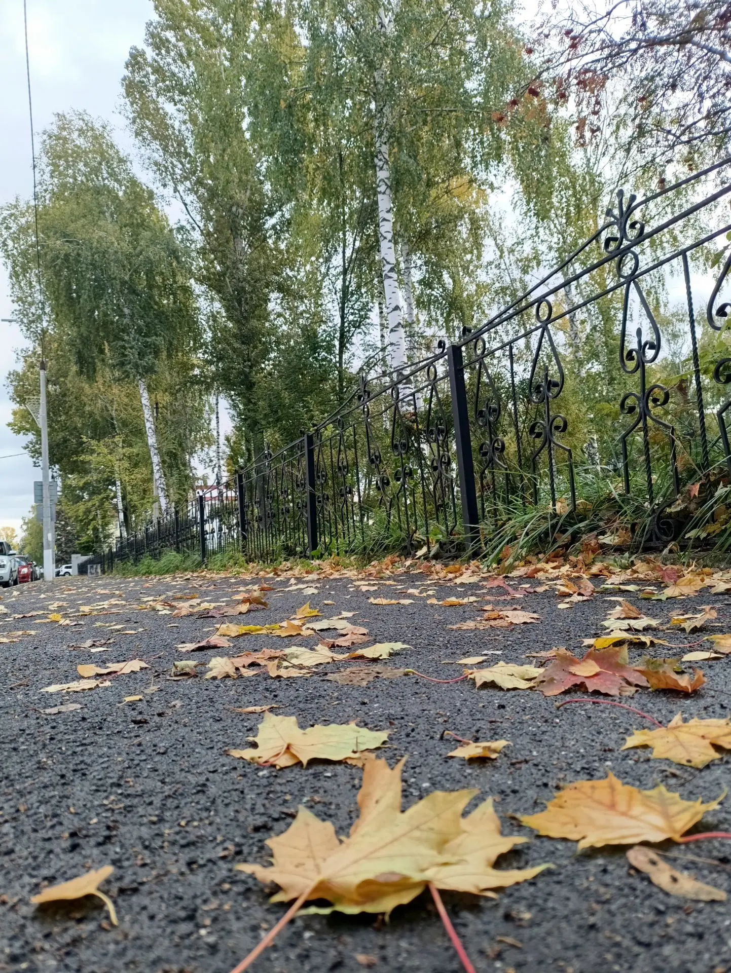 Доброе утро, дорогие жигулёвцы! 🍁✨