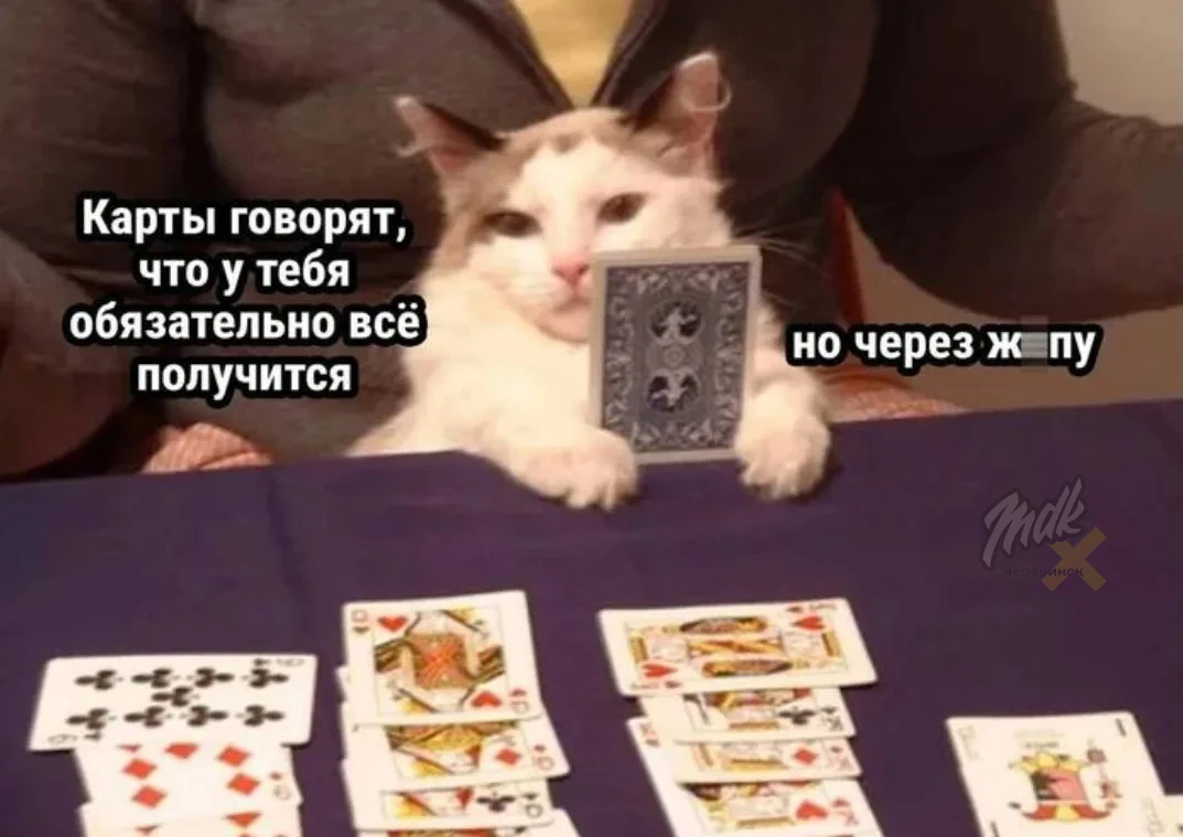 😱 Челябинка отдала семь миллионов гадалкам ради приворота