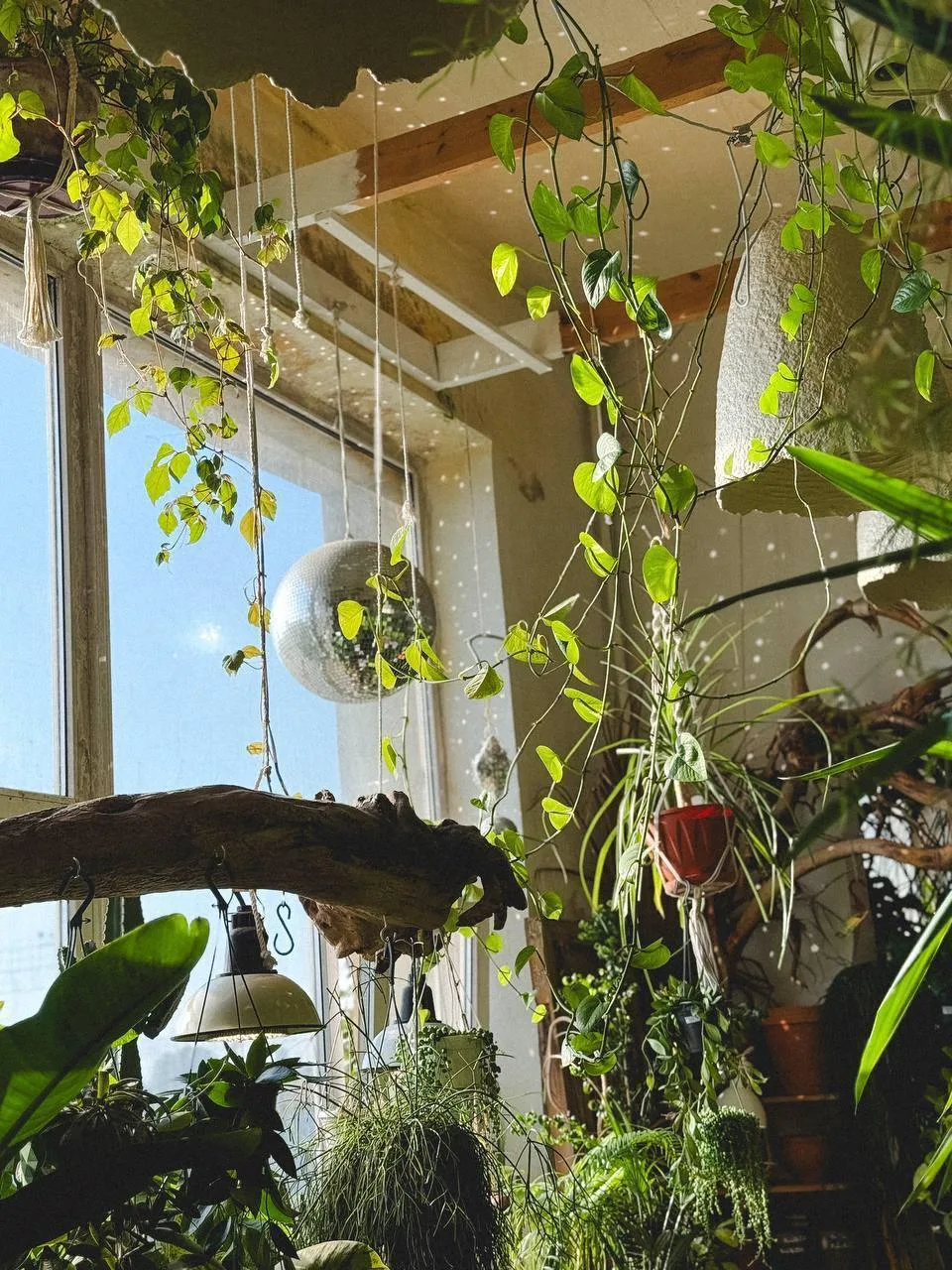 🌴 Если вы уже скучаете по лету, то загляните в место, где всегда царит тропическая атм...