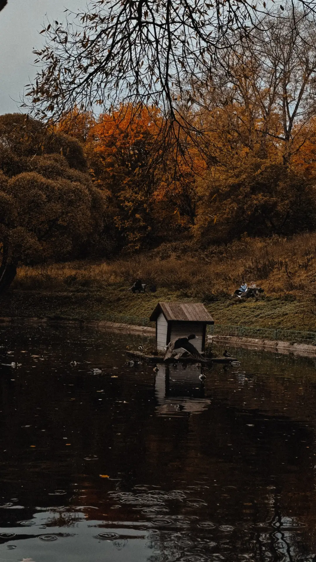 Московская осень