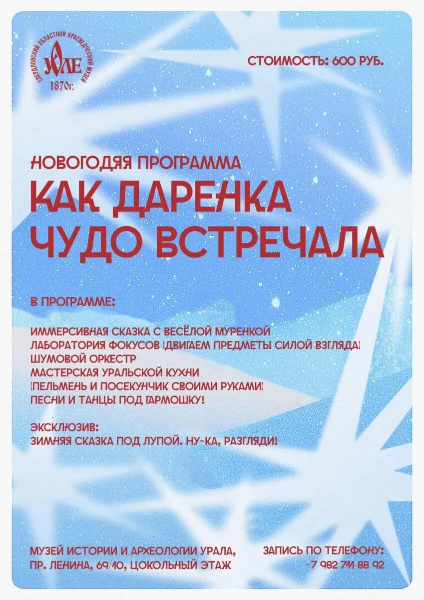 Новогодняя программа