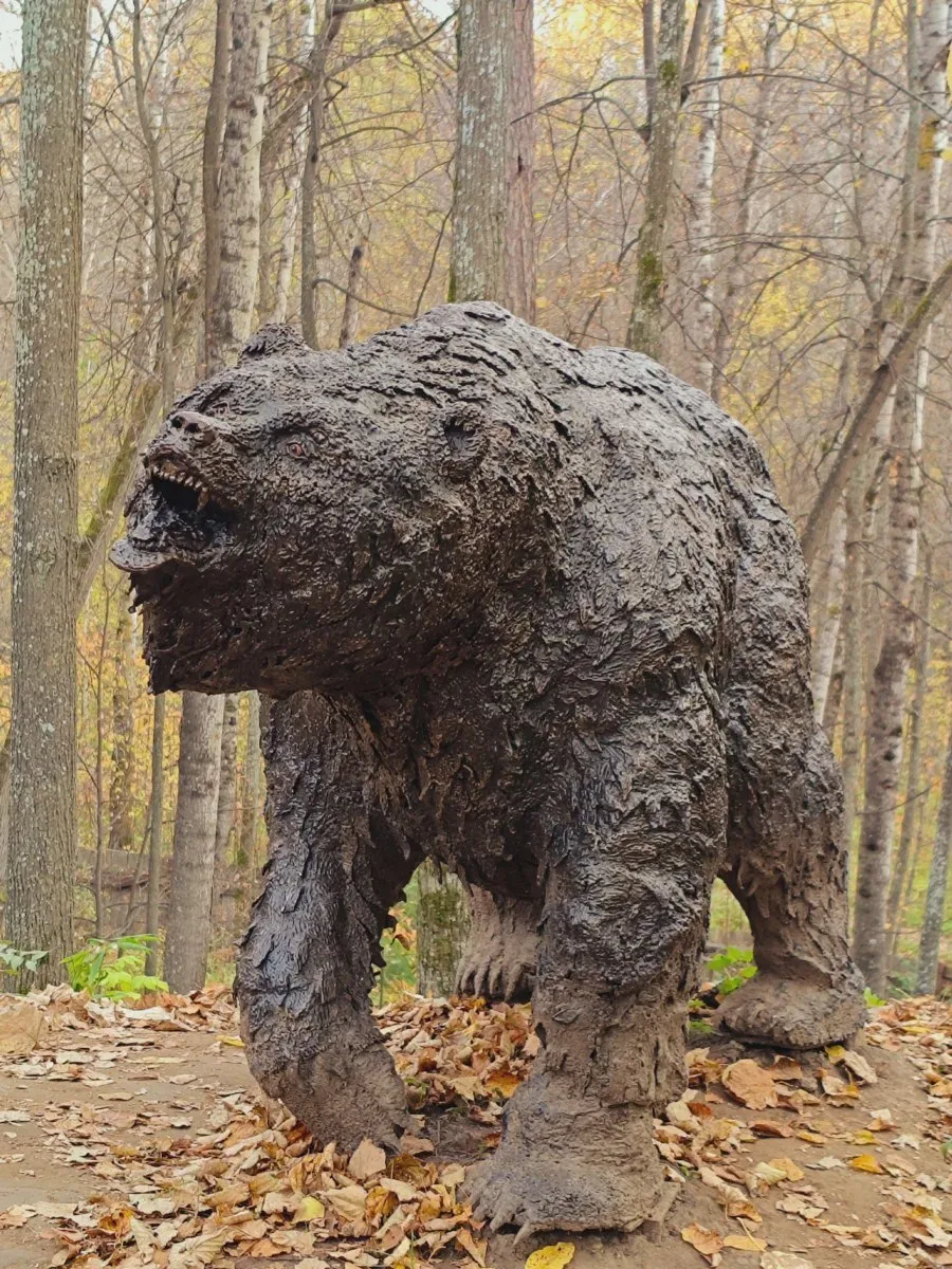 🐻 Утро пятницы у лесной скульптуры
