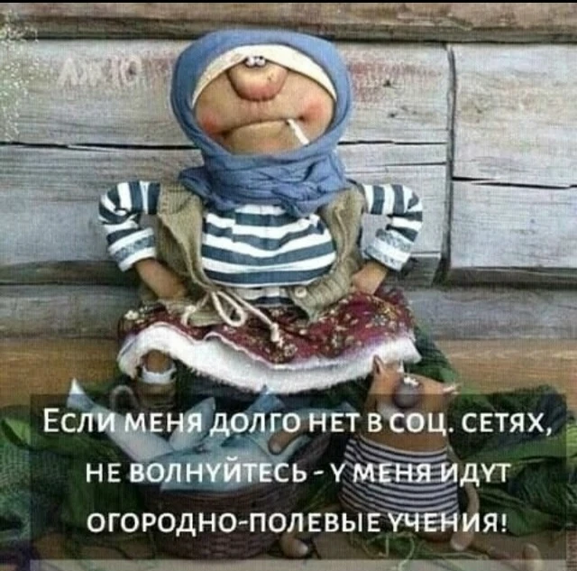 Мы на даче отдыхаем –