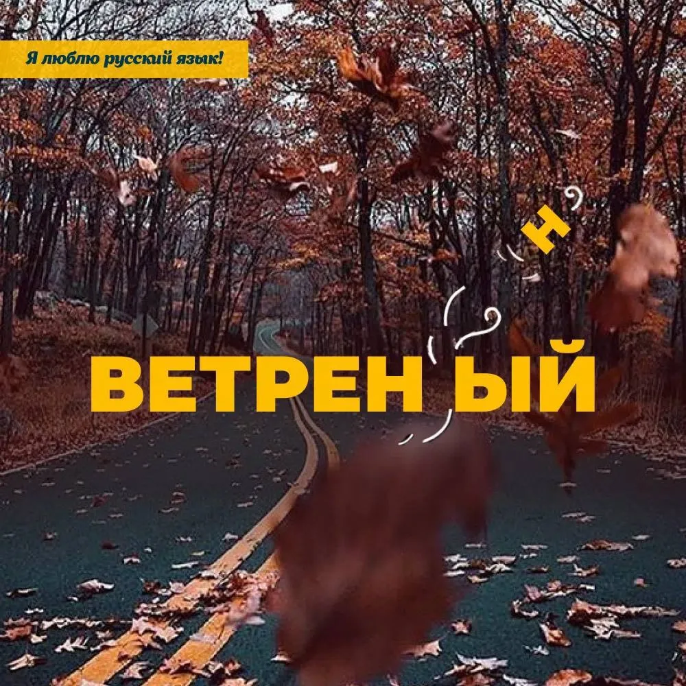 Сентябрь — время повторить правописание актуальных слов 💨