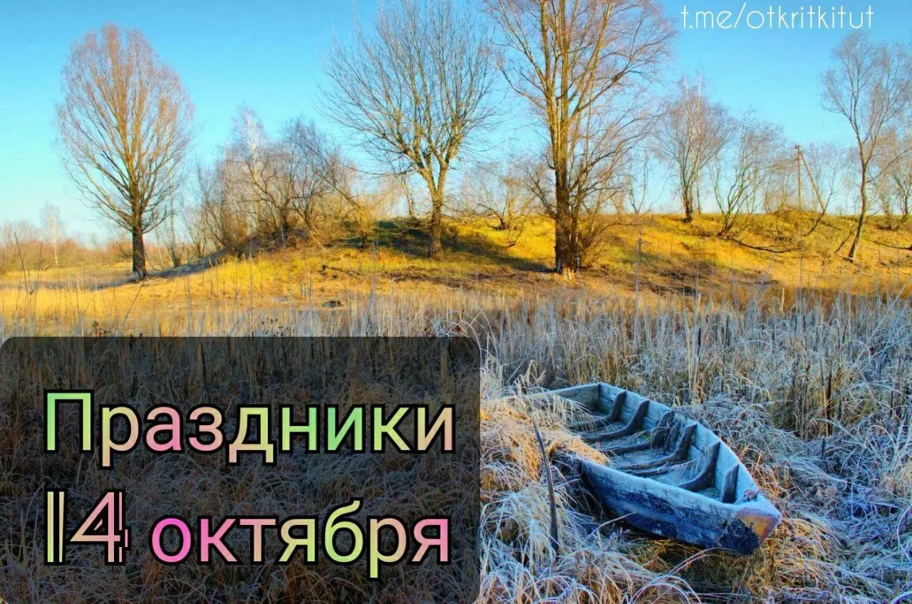 Праздники 14 октября 🗓️