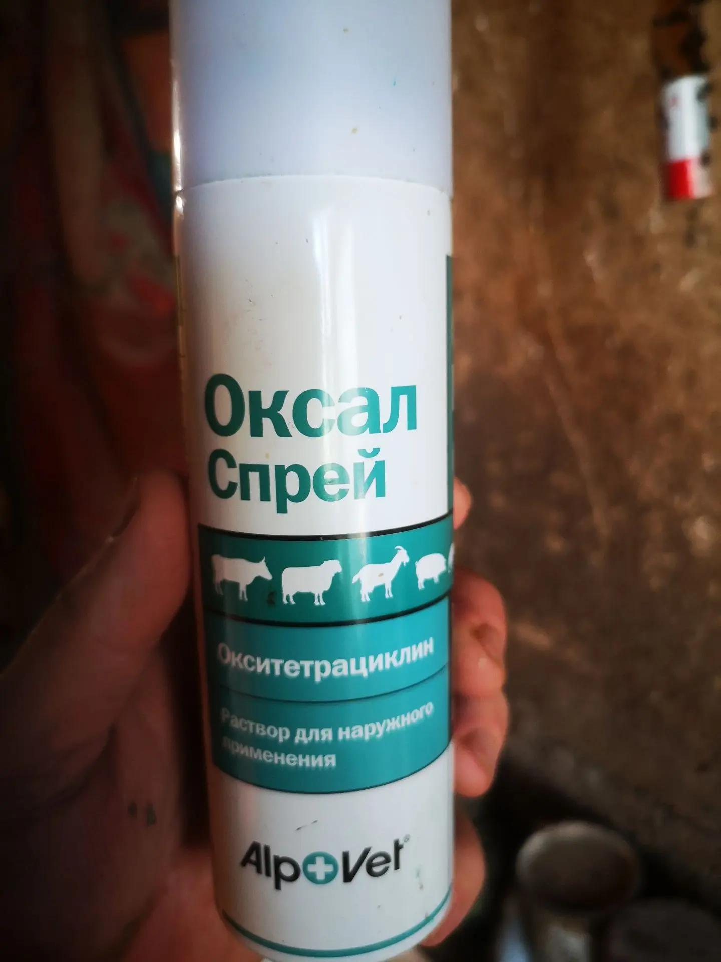 На данный момент я применяю Оксал спрей - это аналог, тоже с антибиотиком очень хороший...
