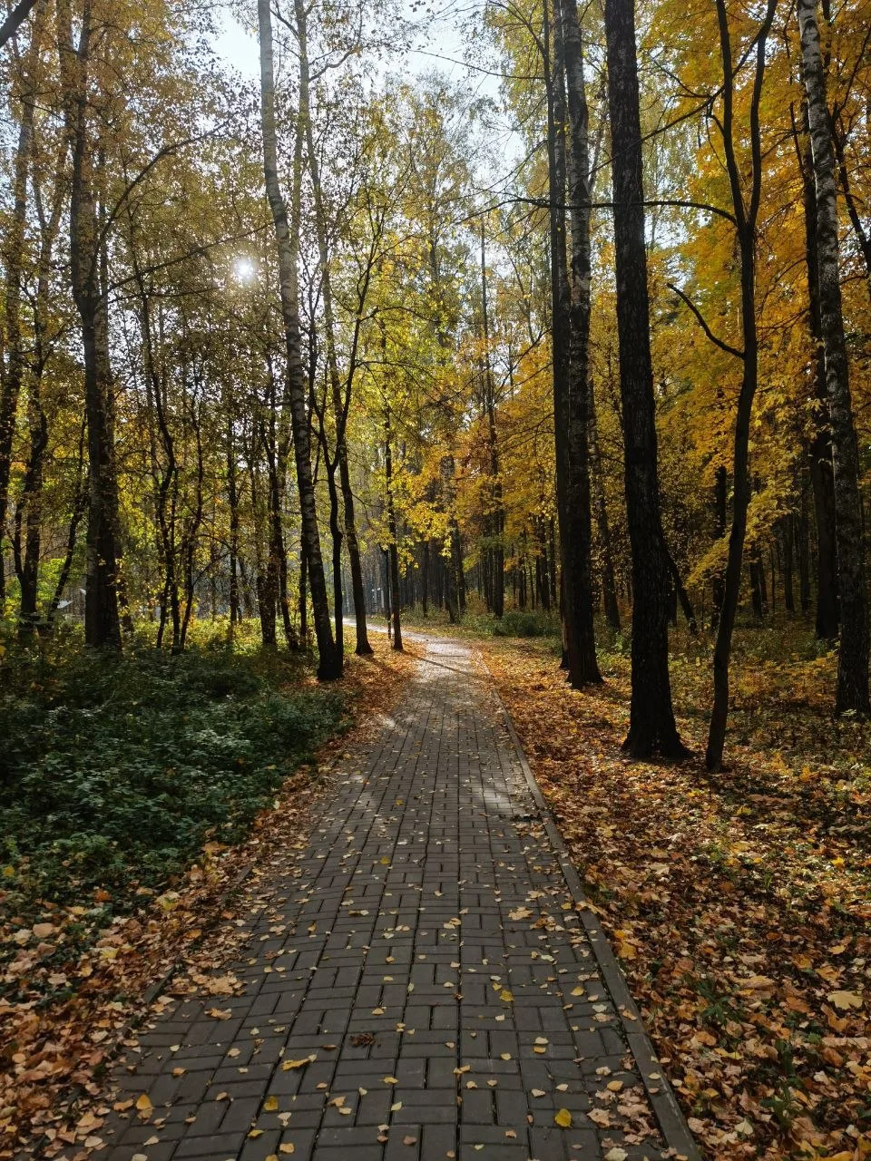 Осенний парк прекрасен... 🍁