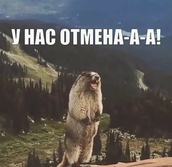 Отмена брони стала проще: что изменилось для туристов 🧳