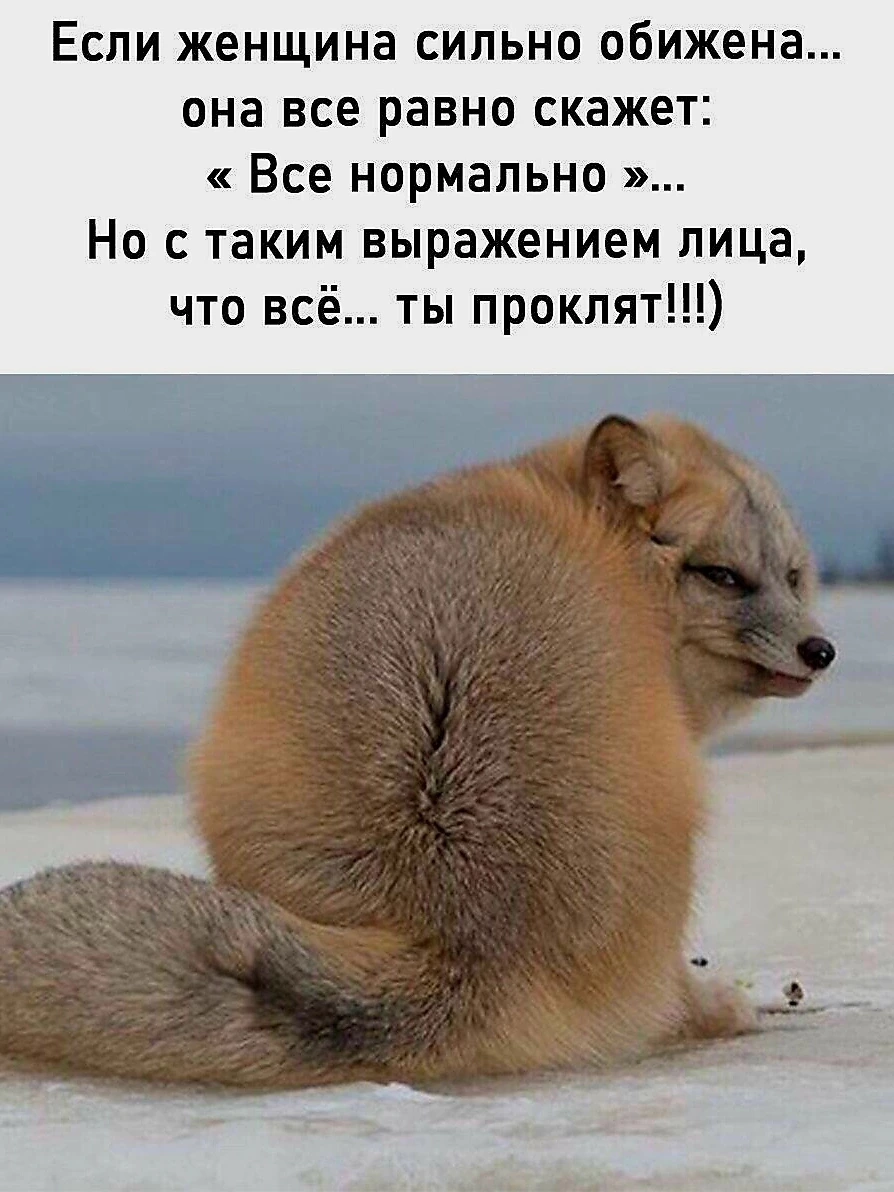 Обижается , сразу нах*й с пляжа 😊
