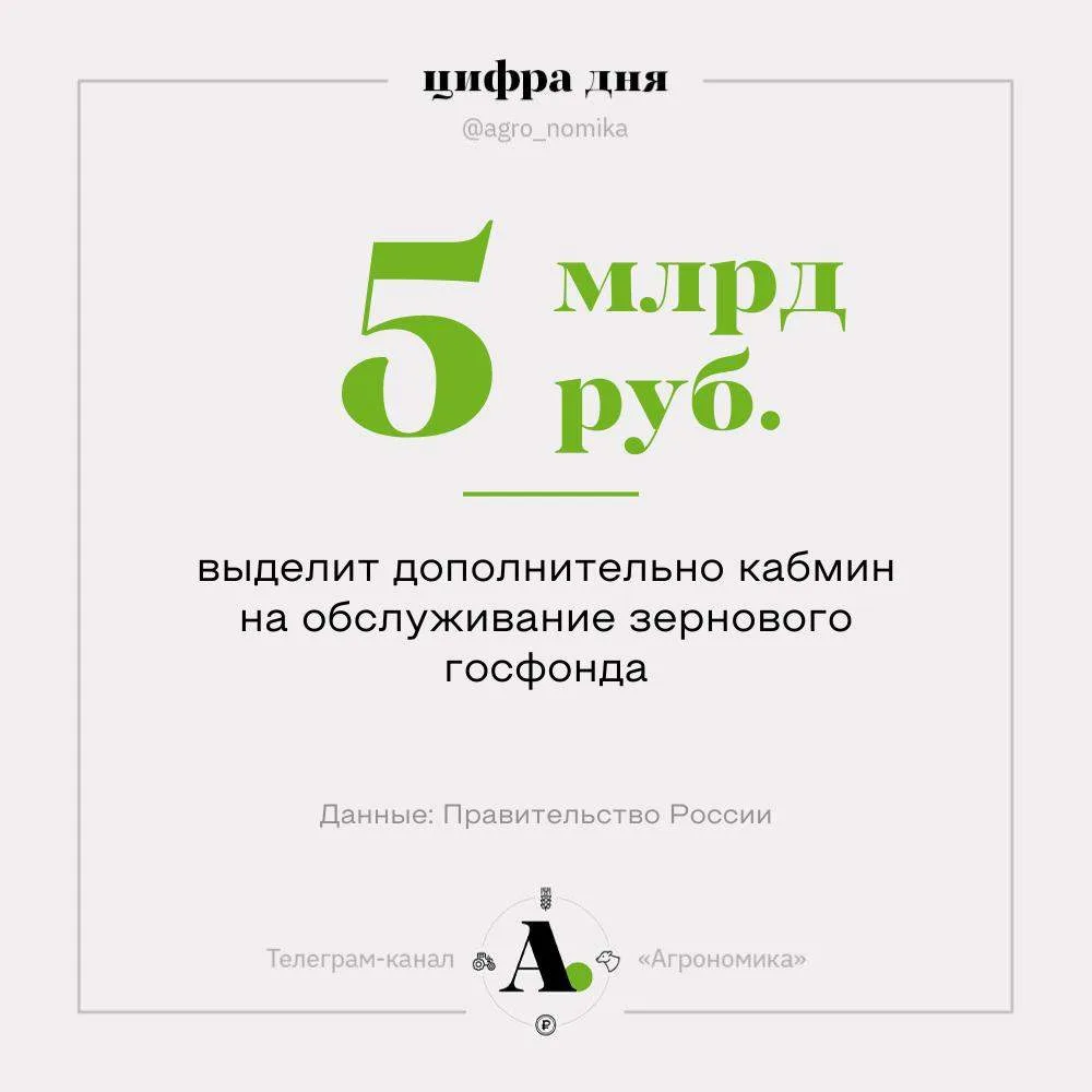 Более 5 млрд рублей выделит правительство на содержание госзапасов зерна.