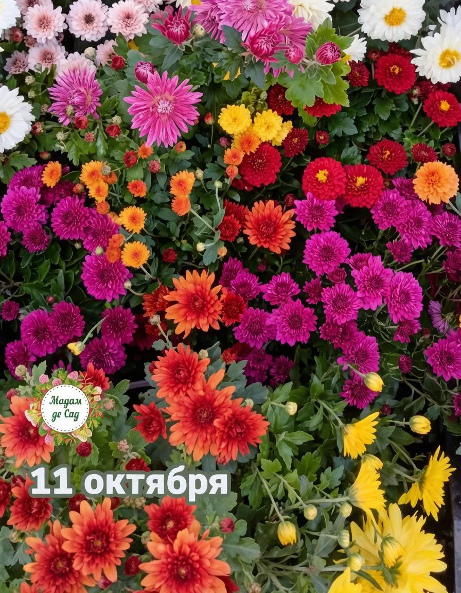💗 Доброе утро!