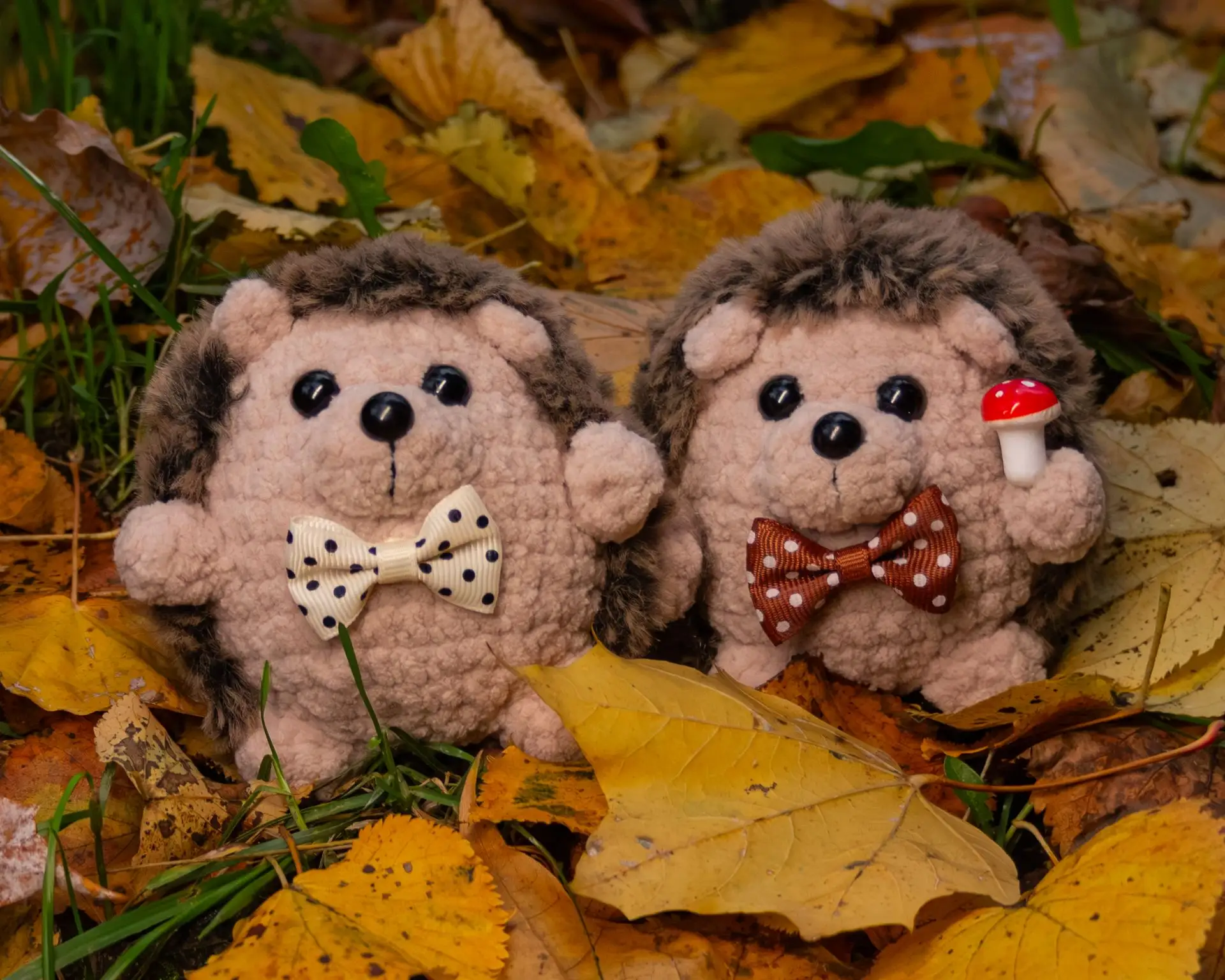 Ежата вышли на прогулку 🦔🍂